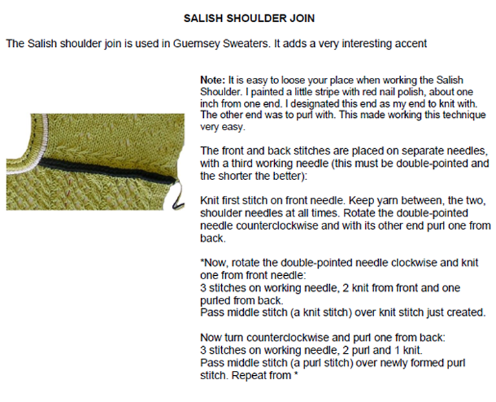 miscellaneous_stuff_11_salish_shoulder