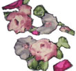 ws014_zara_d_thumb