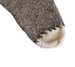 xs002_dasher_d_thumb